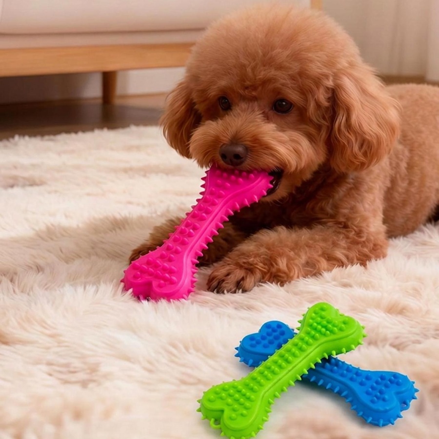 Teeth Cleaning Dog Chew Bone - 3/6 stuks kauwspeeltjes, rubberen tandenborstel voor