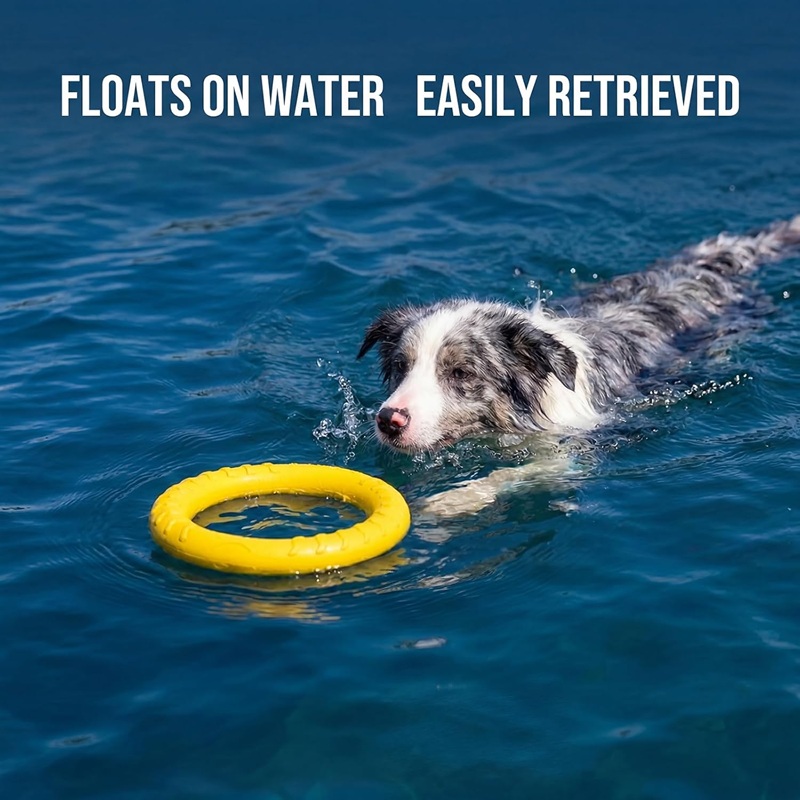 Flying Disc Dog Training Toy - Hondenspeelgoed Vliegende schijven voor huisdieren EVA