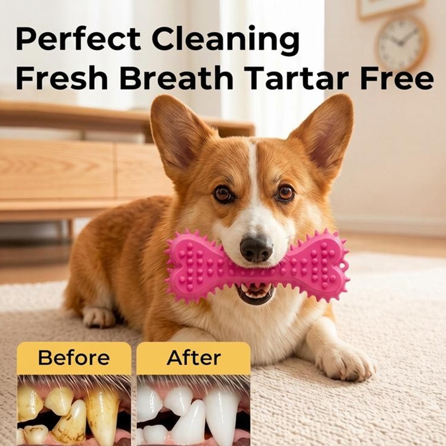 Teeth Cleaning Dog Chew Bone - 3/6 stuks kauwspeeltjes voor honden, rubberen