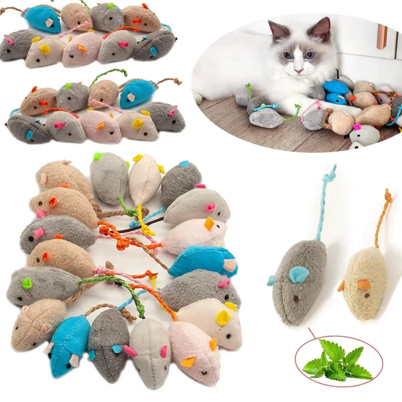5 stuks rammelaar-kattenspeelt - Catnip Interactive Plush Mouse recensie en prijs
