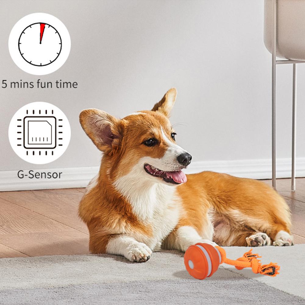 Huisdierbal voor honden Intera - Automatic Moving Dog Ball recensie en prijs
