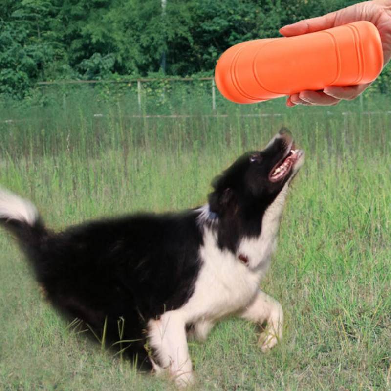 Kauwbaar, zacht rubberen vlieg - Flying Disc Dog Training Toy recensie en prijs