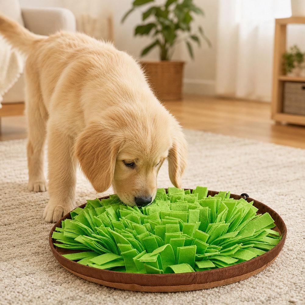 Hondensnorfmat, interactief vo - Interactive Squeaky Plush Dog Toy recensie en prijs