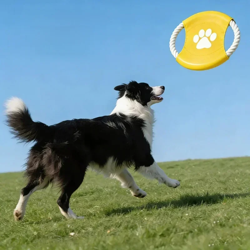 Internet Celebrity Katoenen To - Flying Disc Dog Training Toy recensie en prijs
