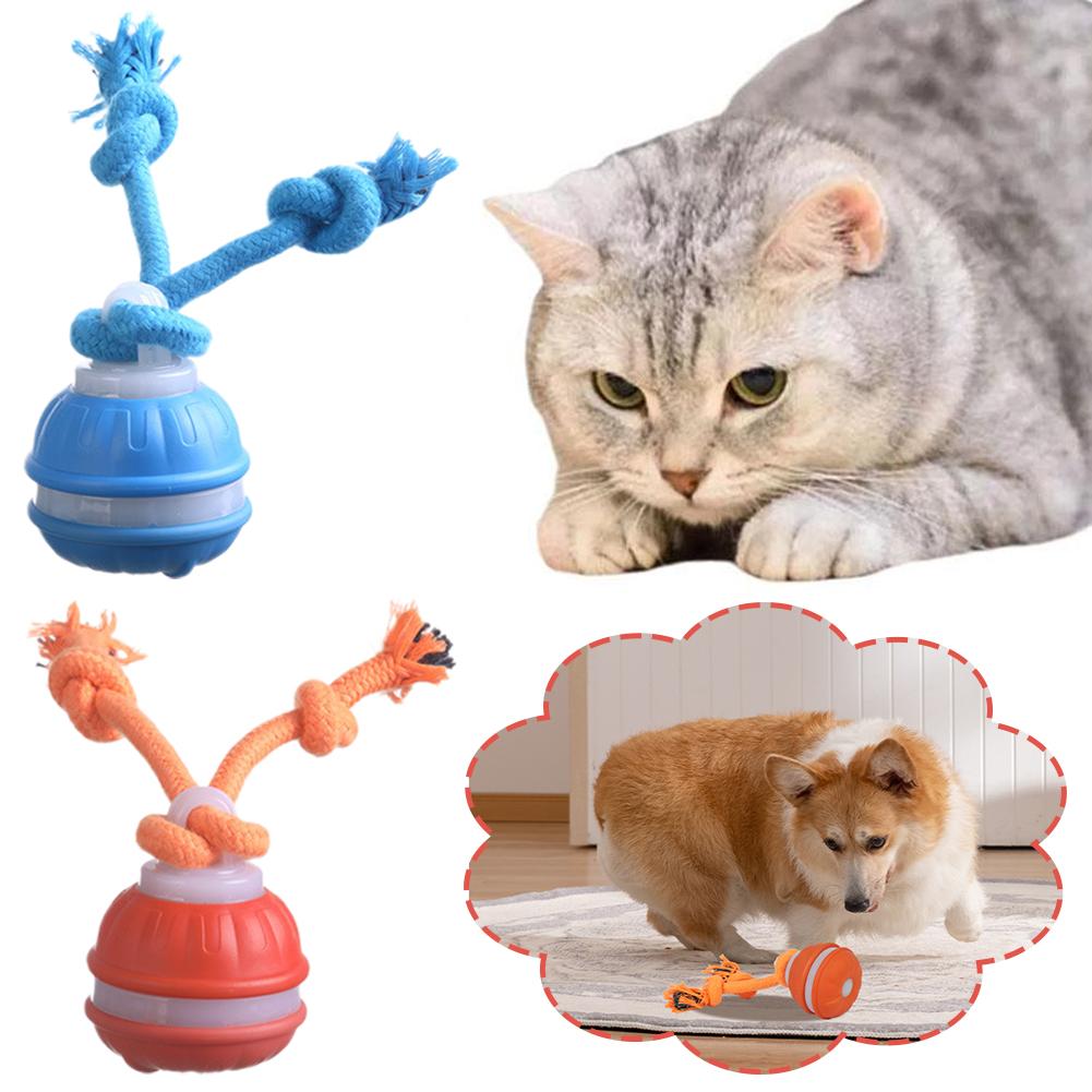 Slimme oplaadbare hondenbal In - Automatic Moving Dog Ball recensie en prijs