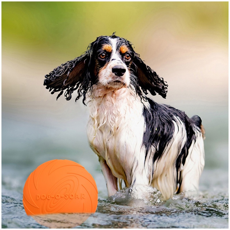 Interactief siliconen vliegend - Flying Disc Dog Training Toy recensie en prijs