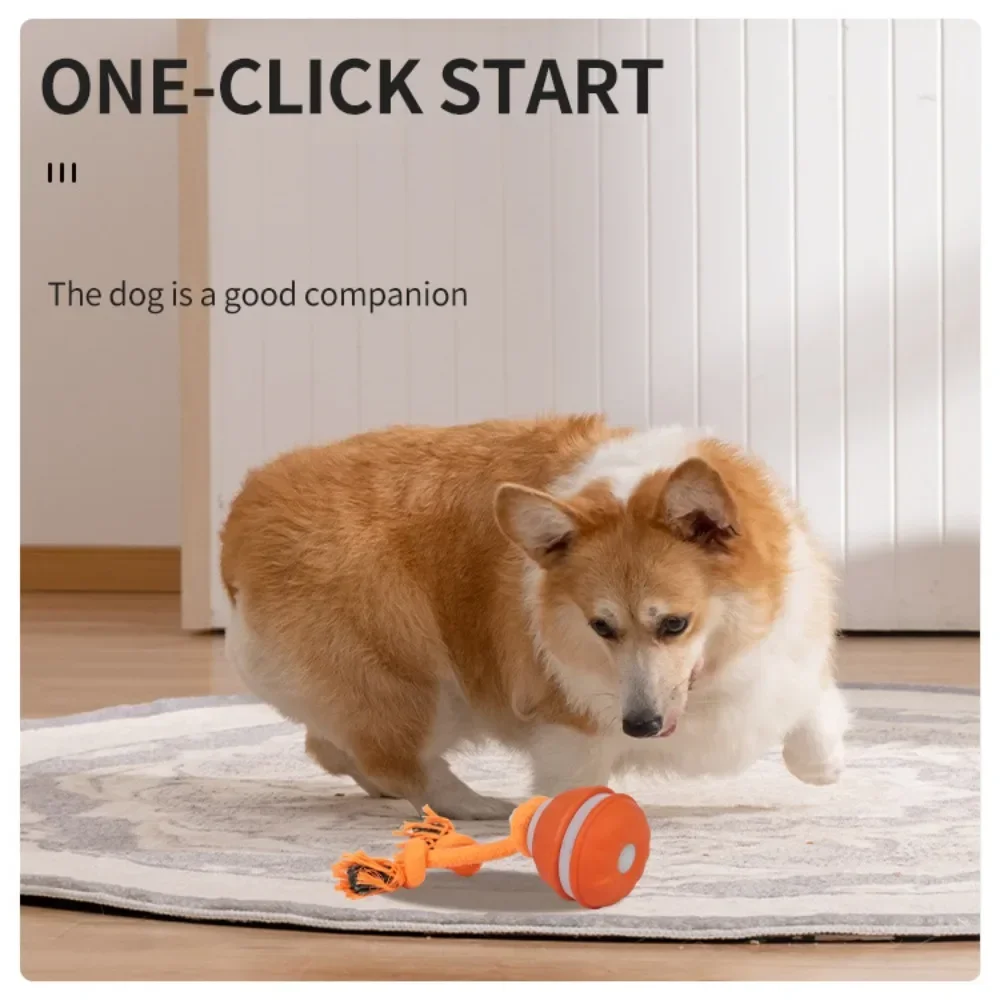 Interactief speelgoed voor hon - Automatic Moving Dog Ball recensie en prijs