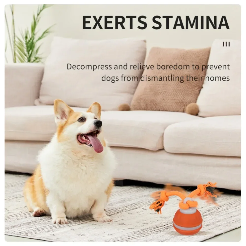 Interactief speelgoed voor hon - Automatic Moving Dog Ball recensie en prijs