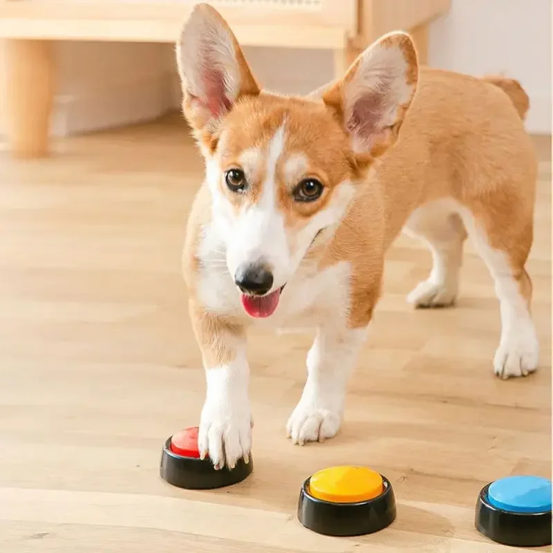 Huisdier Klankkast Opneembare  - Interactive Squeaky Plush Dog Toy recensie en prijs