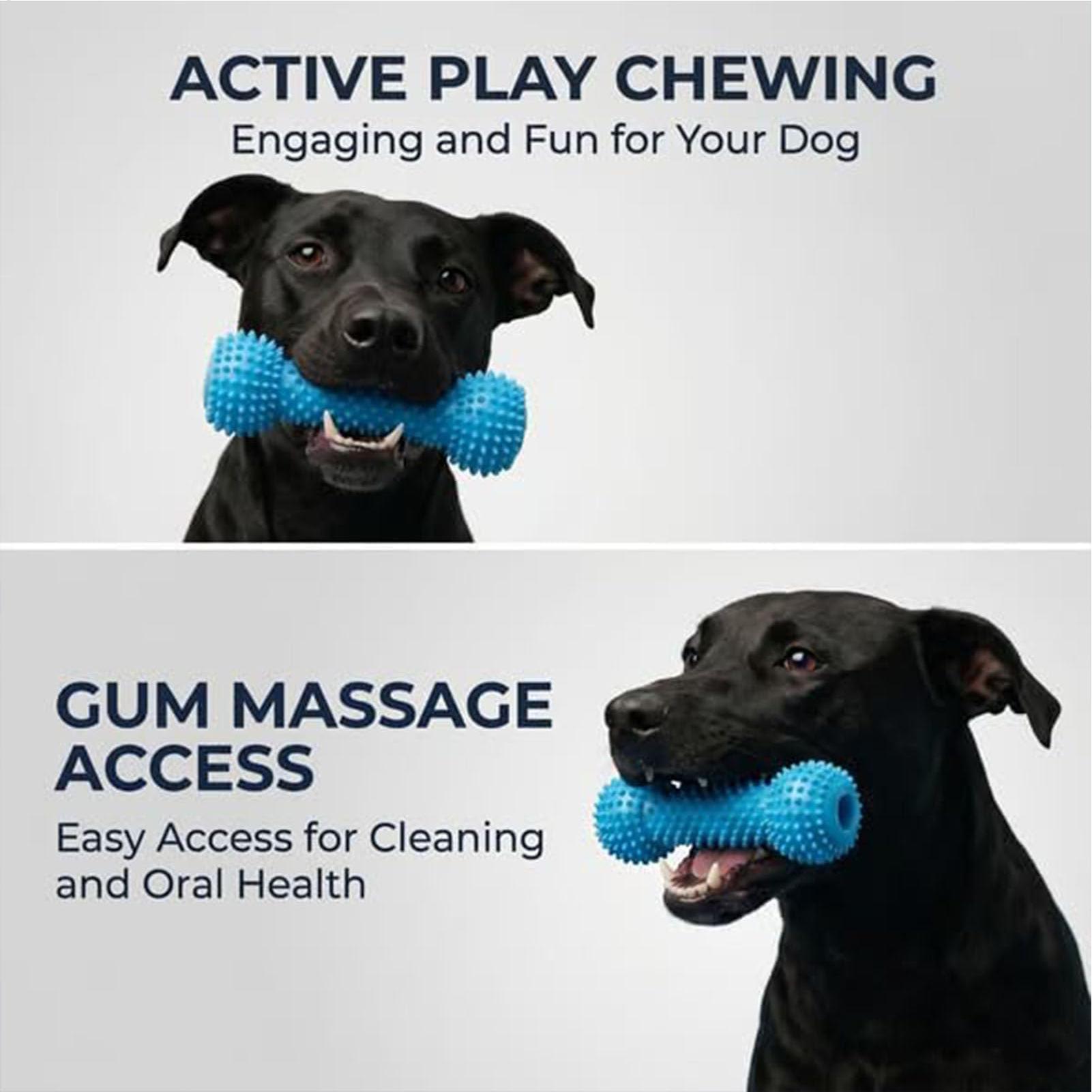 Hondentandenborstel-speeltjes, - Rubber Treat Dispensing Dog Toy recensie en prijs