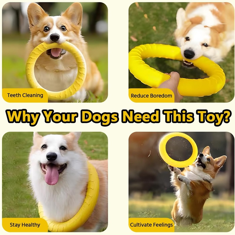 Hondenspeelgoed Vliegende schi - Flying Disc Dog Training Toy recensie en prijs