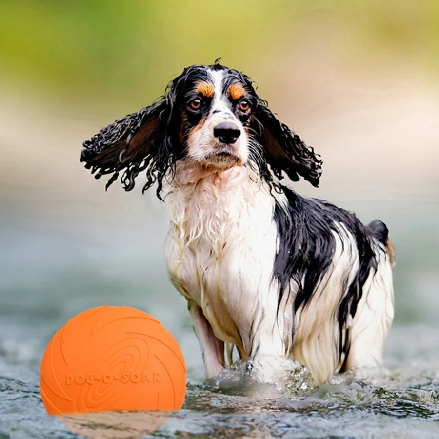 G Grote Hond Gouden Vacht Vlie - Flying Disc Dog Training Toy recensie en prijs