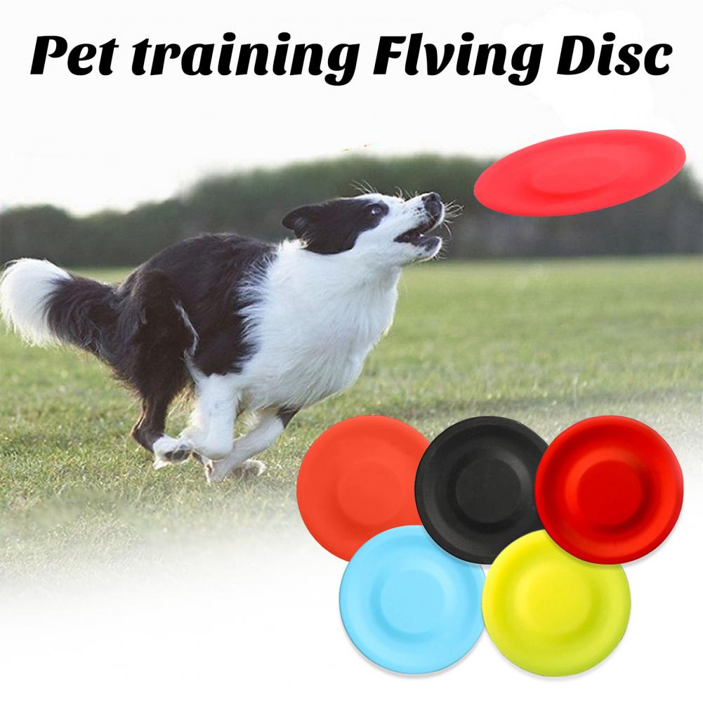 Hond Vliegende Schijf Speelgoe - Flying Disc Dog Training Toy recensie en prijs
