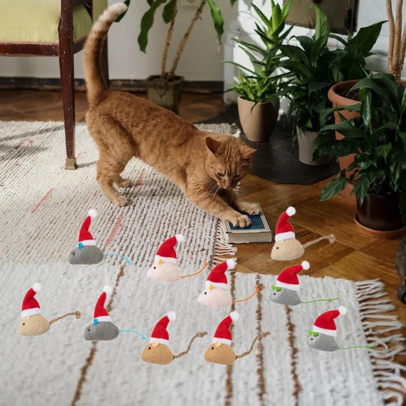 1-5 stuks Kerstmuts Muis Inter - Catnip Interactive Plush Mouse recensie en prijs