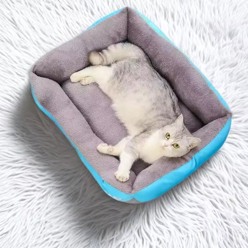 Zachte, pluche kussenbed voor  - Interactive Squeaky Plush Dog Toy recensie en prijs