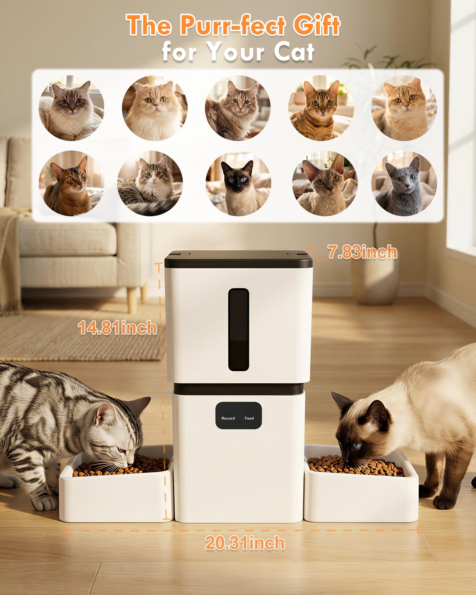5GHz WiFi 8L Slimme Automatisc - Pet Feeders recensie en prijs